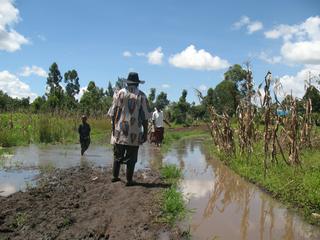 Ouganda : une ferme inondée- octobre 07